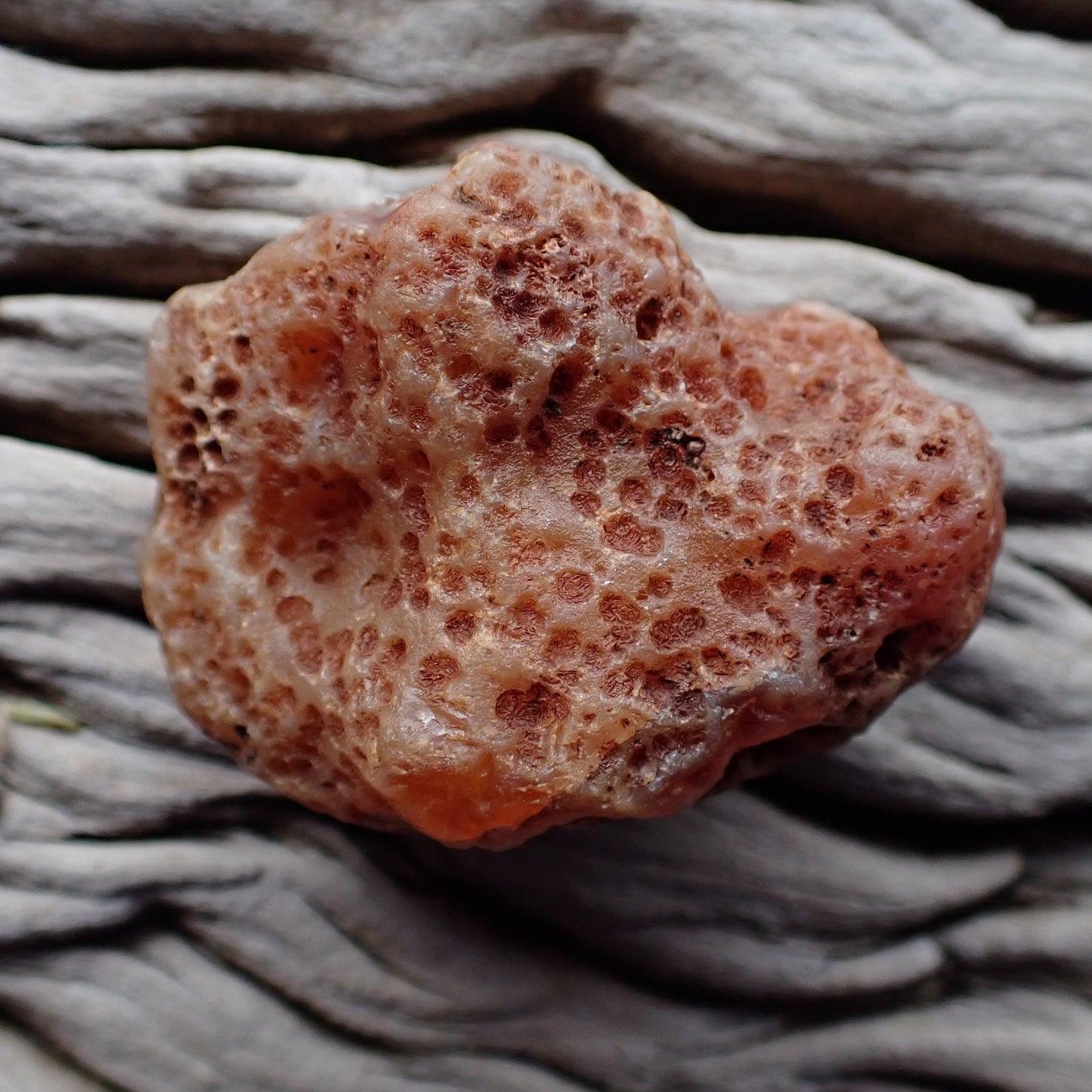 Unpolished rough side of Malawi agate showing its natural texture
