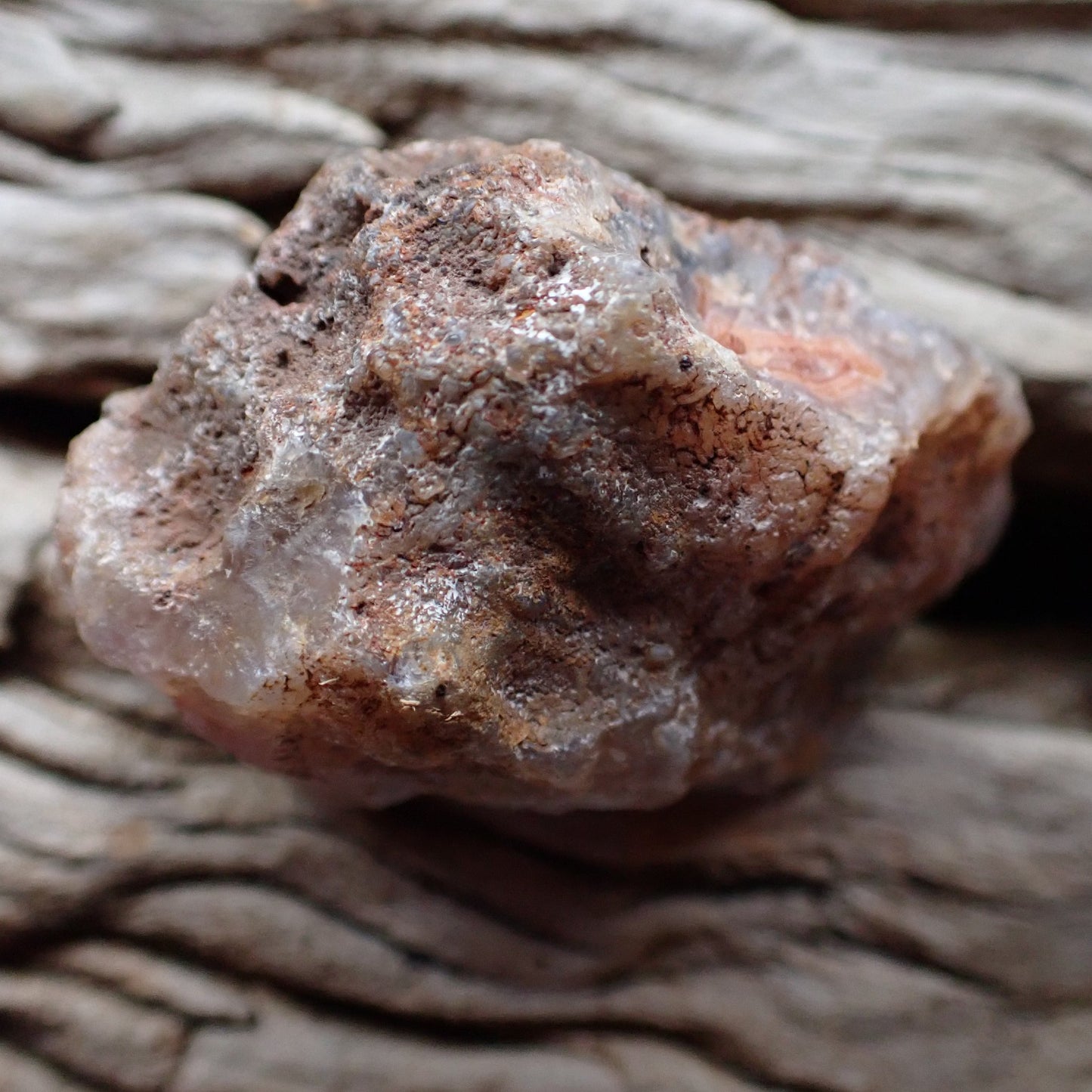 Unpolished rough side of Malawi agate showing natural texture