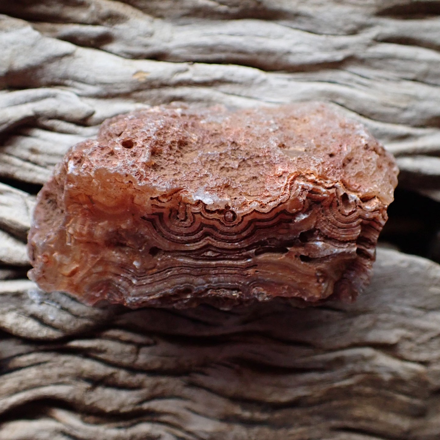 Unpolished rough side of Malawi agate showing natural texture
