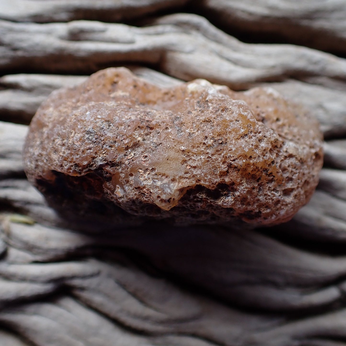 Unpolished rough side of Malawi agate showing natural texture