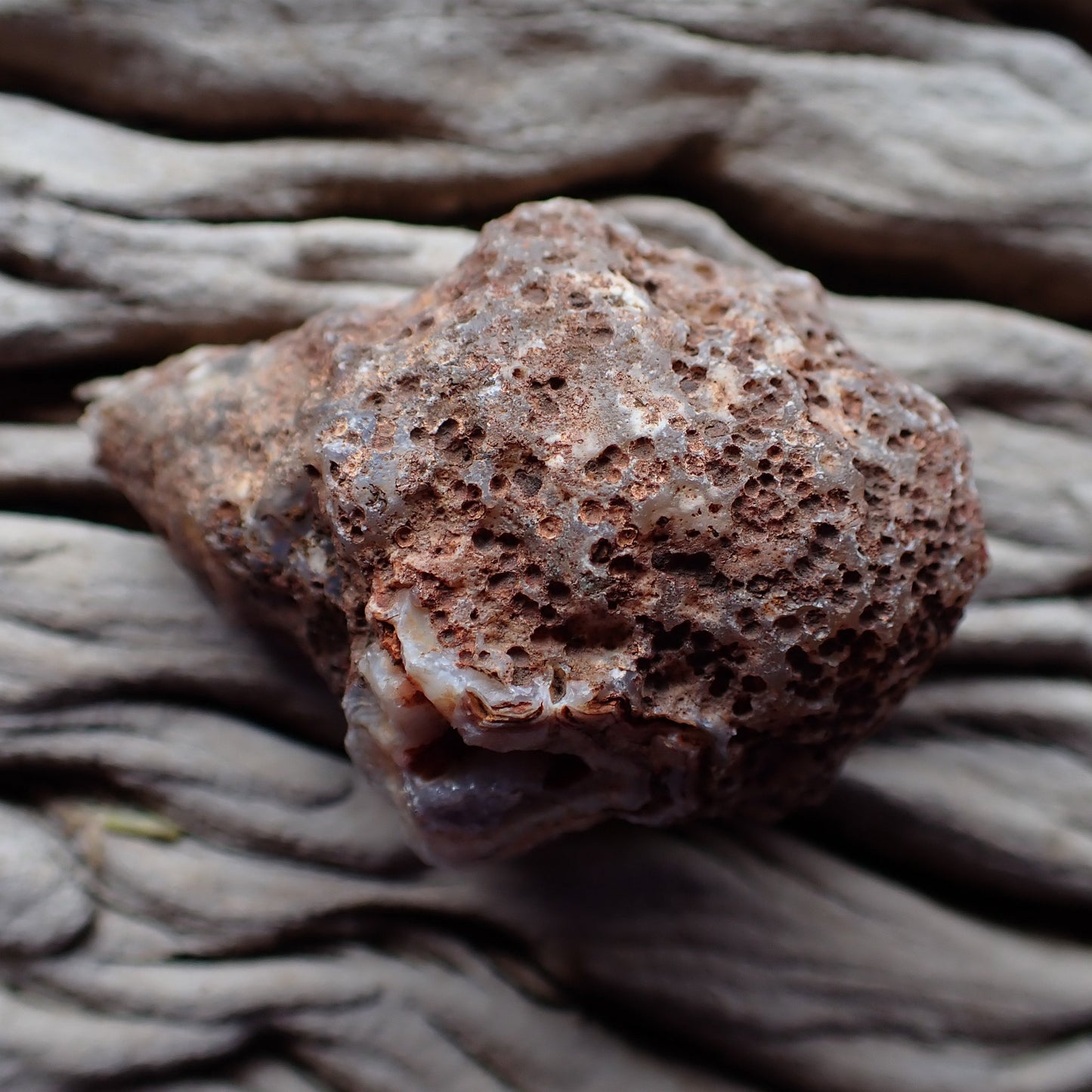 Unpolished rough side of Malawi agate showing natural texture