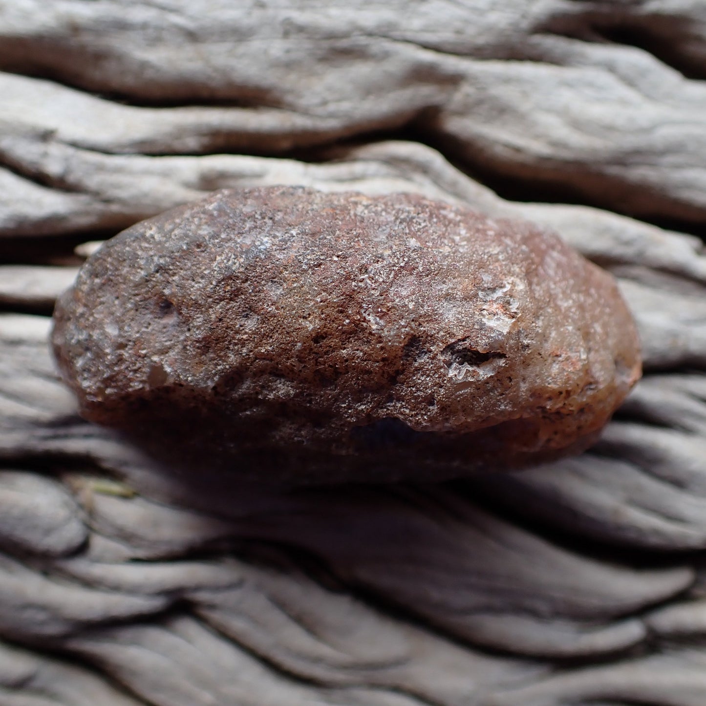 Unpolished rough side of Malawi agate showing natural texture