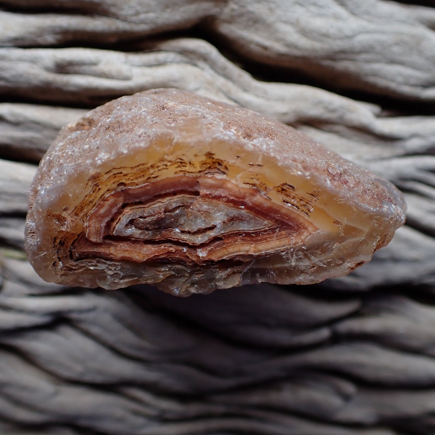 Unpolished rough side of Malawi agate showing natural texture with colours showing through