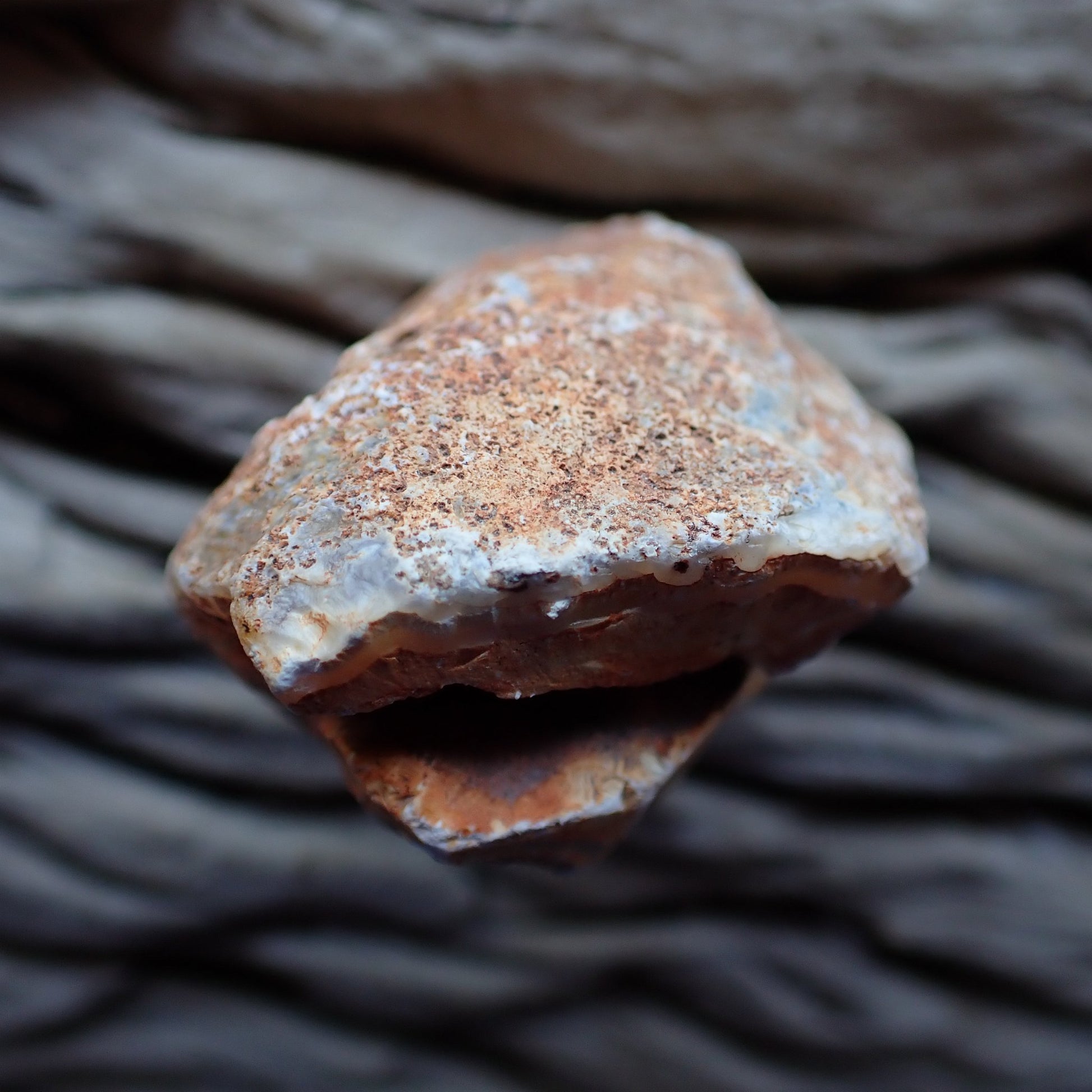 Unpolished side of a Malawi Ngabu region agate nodule