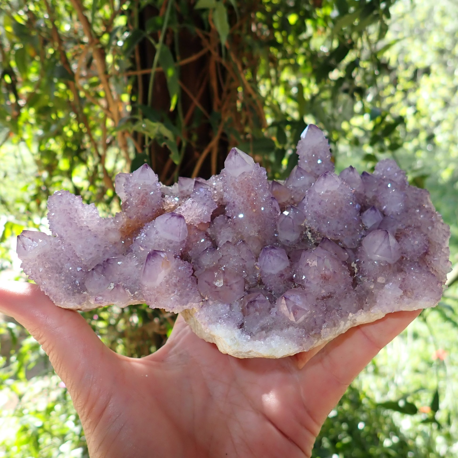 Amethyst Cactus Quartz Spirit Quartz cluster 160x120x60mm – in-hand angled view showing crystal crown and specimen size, Boekenhouthoek South Africa | SKU OM00002