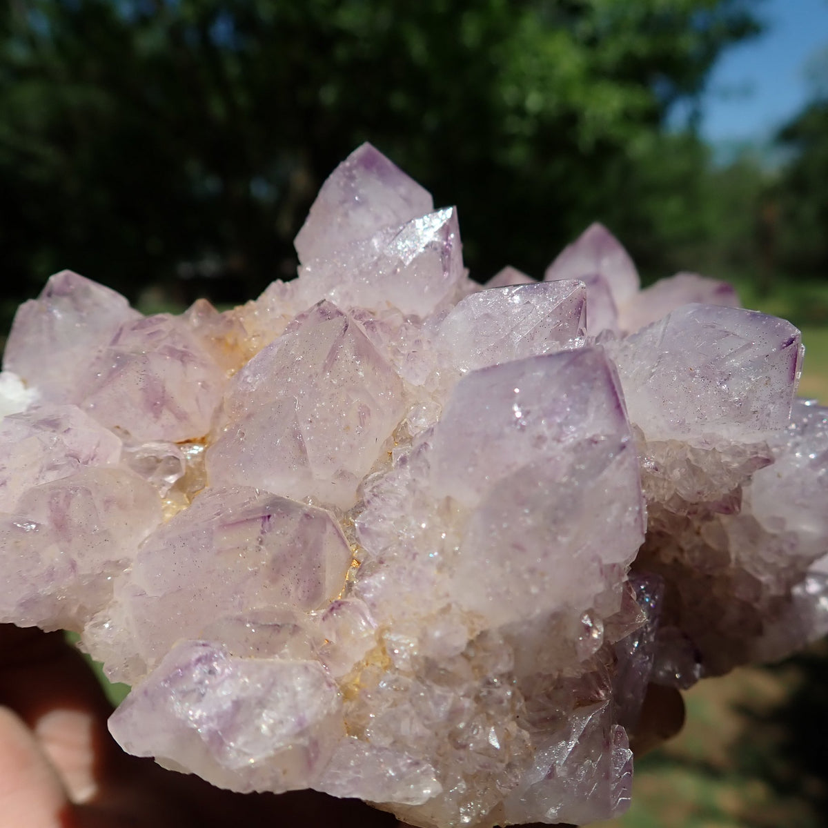 Cactus Spirit Quartz amethyst close-up showing purple phantom outlines and second-generation drusy crystal terminations
