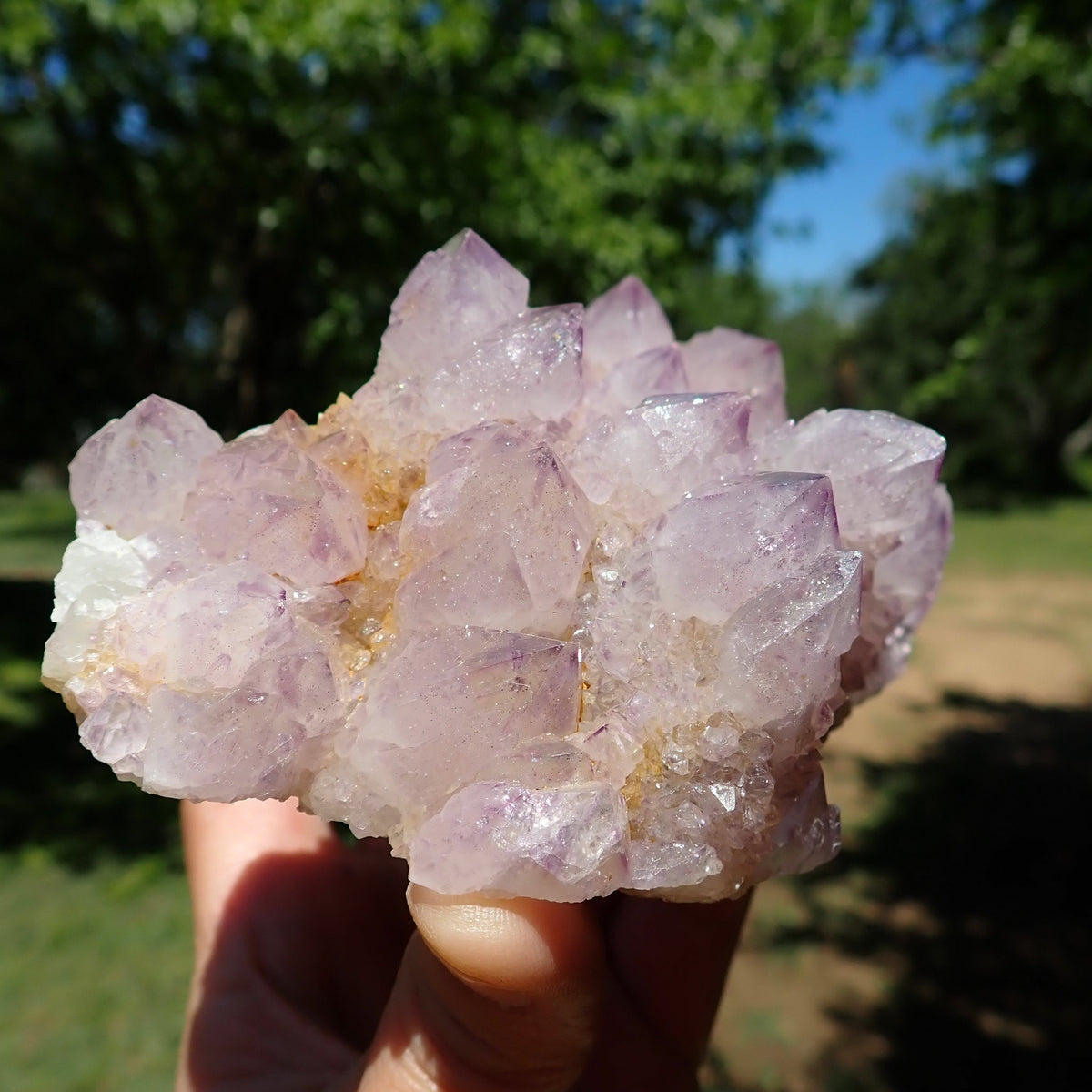 Cactus Spirit Quartz cluster showing a broad group of pale lavender amethyst crystals with purple phantom outlines