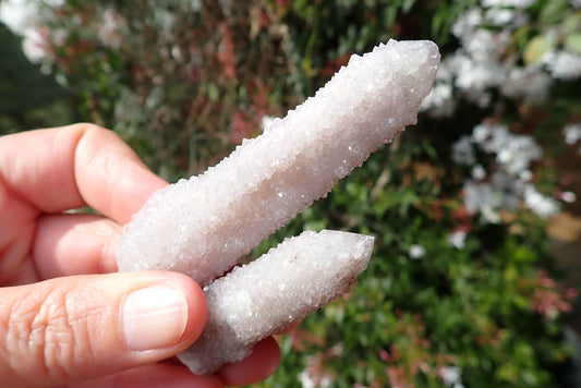 Cactus quartz Spirit Quartz point – in-hand, dense white drusy second-generation encrustation, single crystal, Boekenhouthoek Mpumalanga