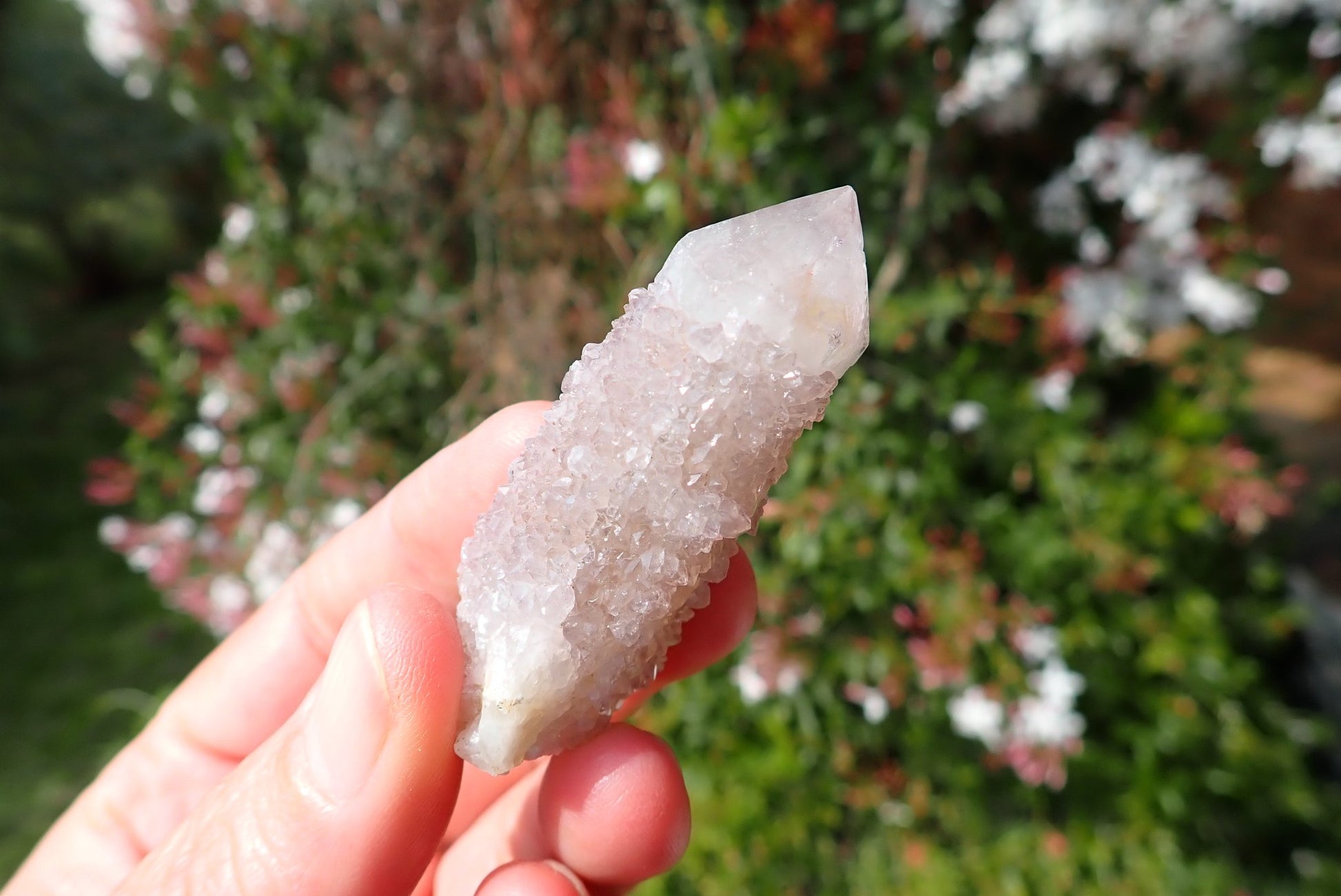 Cactus quartz Spirit Quartz point – in-hand, smoky with dense second-generation drusy encrustation, Boekenhouthoek Mpumalanga