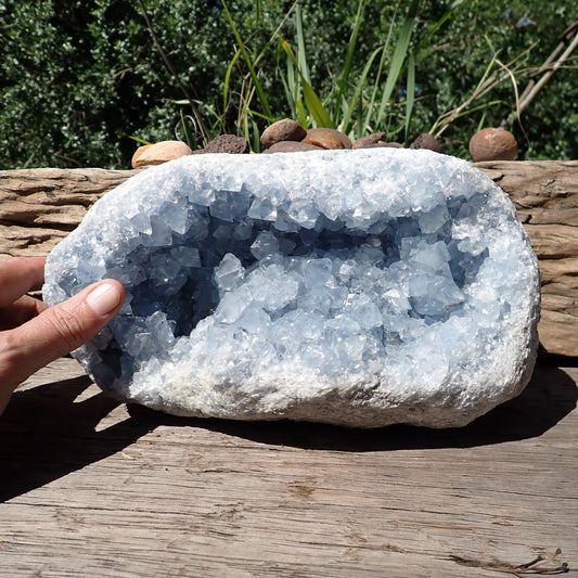 Celestite geode from Madagascar, front view with a hand for scale beside the pale blue crystal-lined opening.