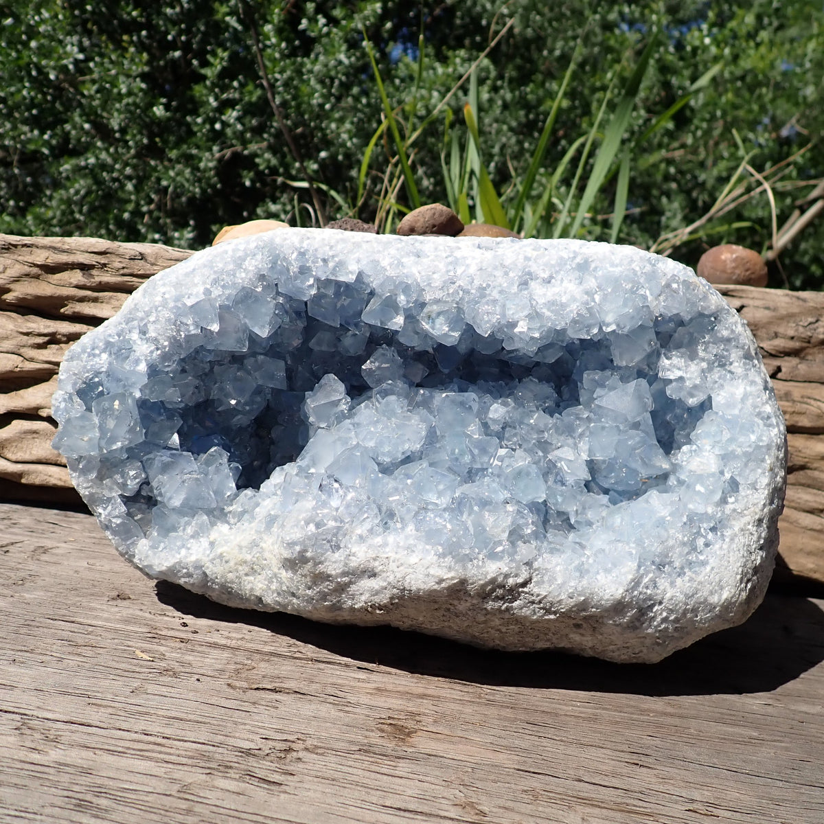 Celestite geode from Madagascar, full front view of the elongated cavity filled with pale sky-blue crystals.