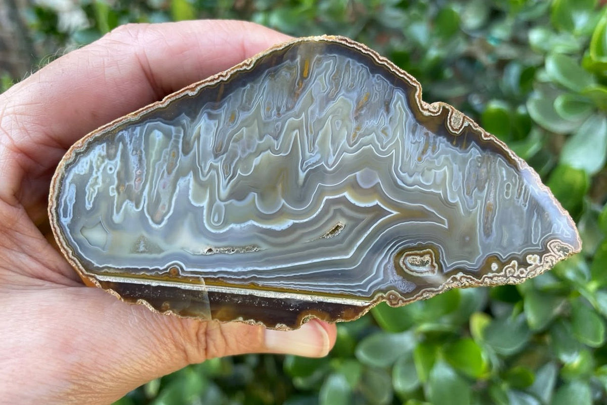 Ghost Mountain agate 106 mm – held in hand for size reference, polished face with convoluted scalloped banding and fine ochre-yellow stalactitic inclusions, Ghost Mountain, South Africa.