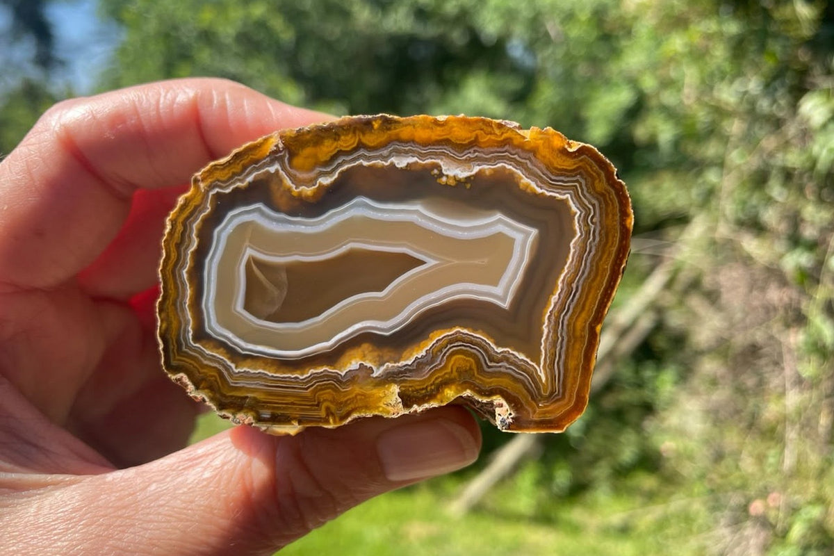 Ghost Mountain agate 72 mm, held in hand for scale, with fortification banding, South Africa.