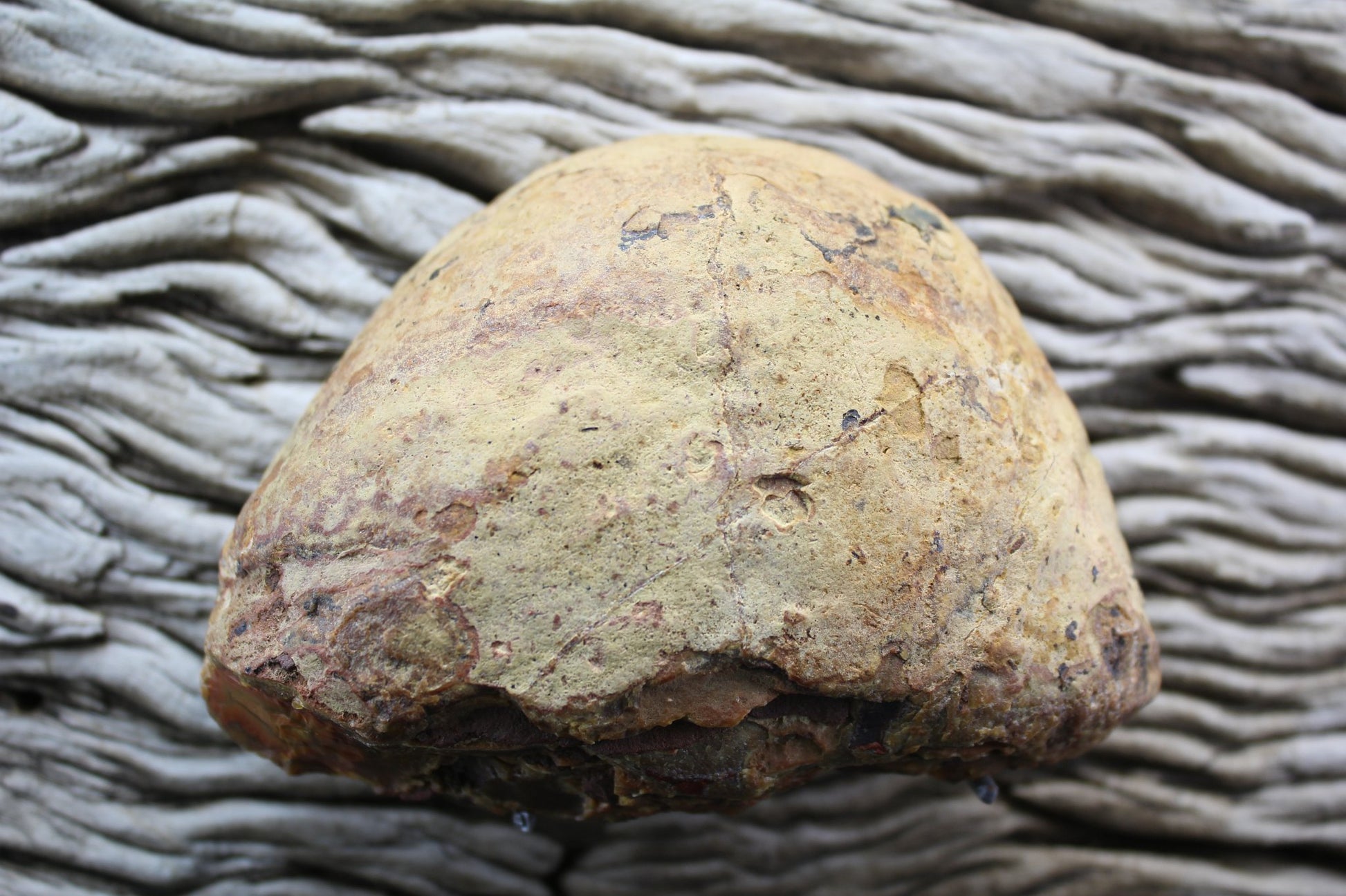 Lilangabi agate 108 mm – natural nodule rind with perimorph structures, Eswatini | SKU LIL00010