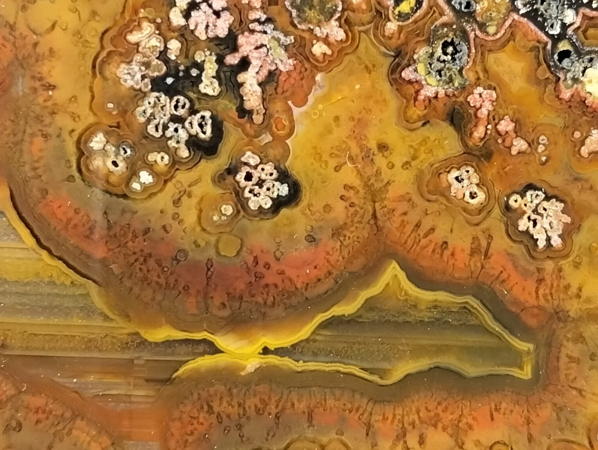Lilangabi agate 107 mm – close-up of plume inclusions, multi-chambered lobes, waterlines in amber ground | SKU LIL00028