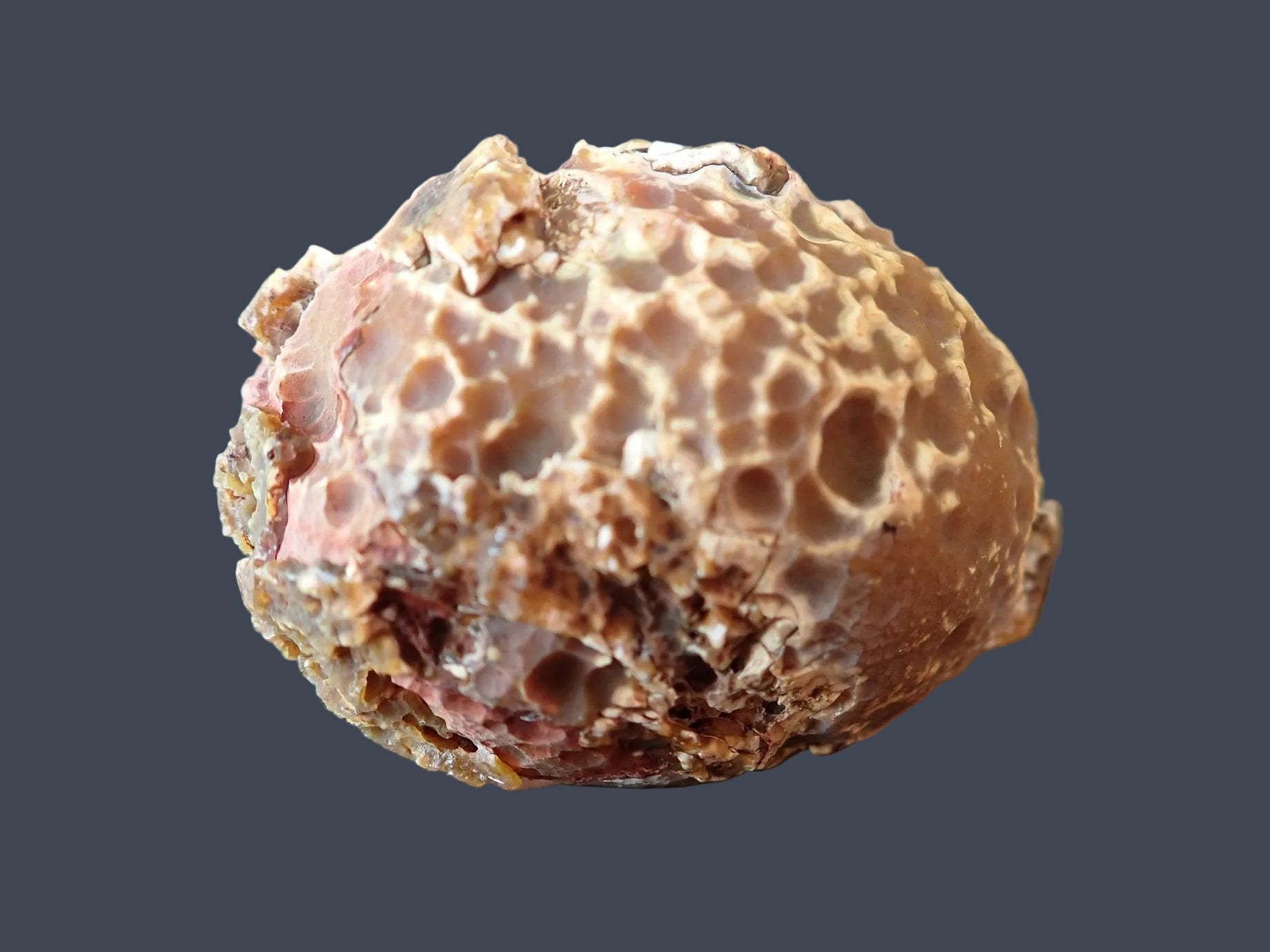 Lilangabi agate 63 mm – back view, natural rind, Eswatini | SKU LIL00030