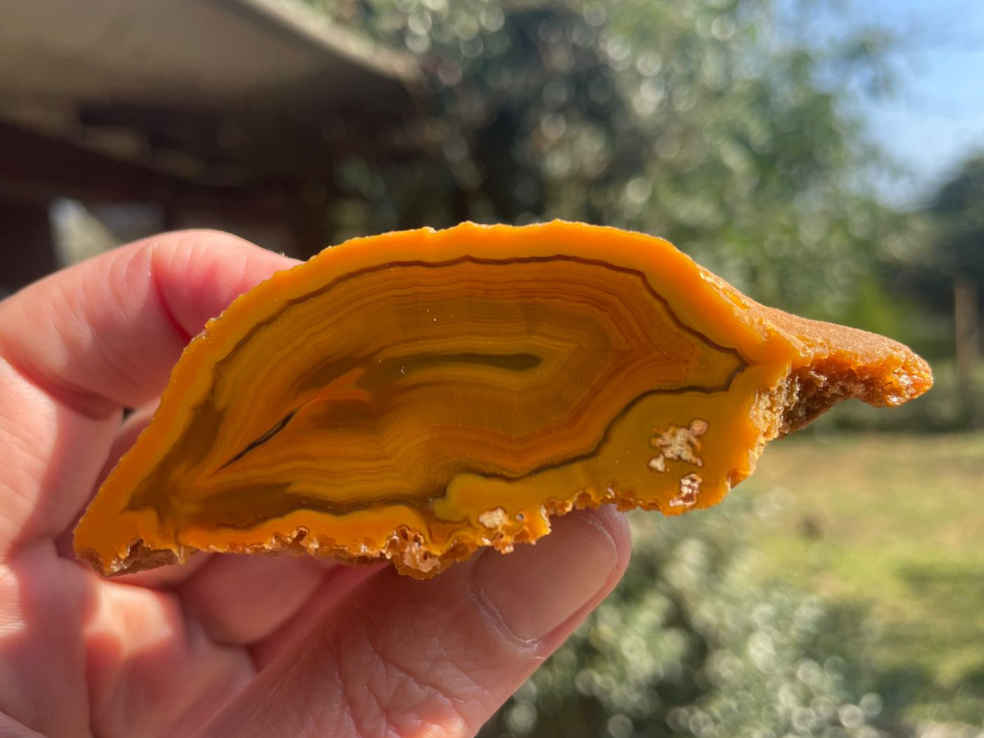 Lilangabi agate 69 mm – in-hand view, scalloped banding, shadow banding, amber-golden-orange, Eswatini | SKU LIL00034