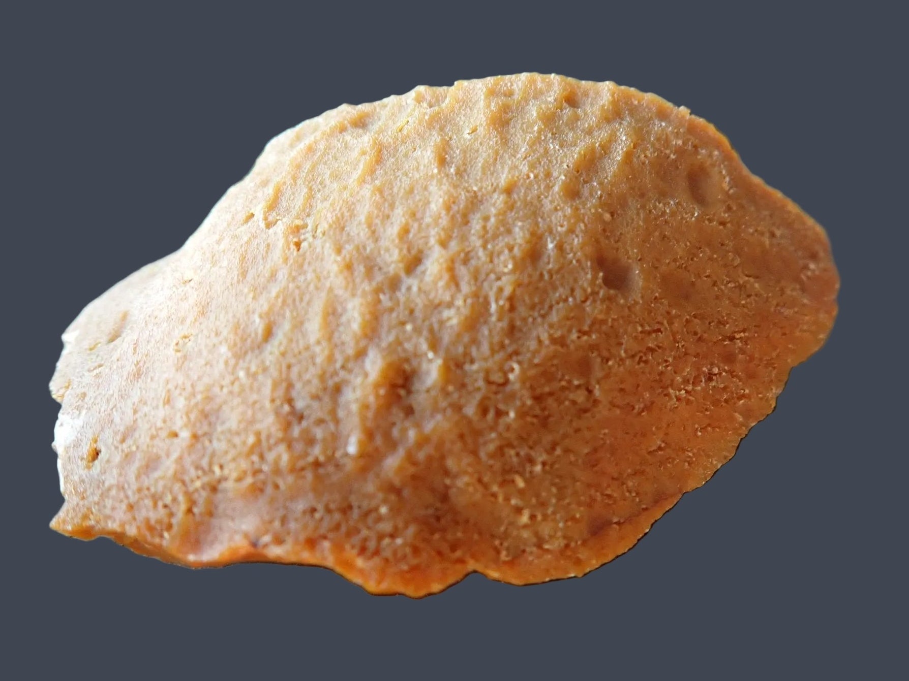 Lilangabi agate 69 mm – back view, natural rind, Eswatini | SKU LIL00034