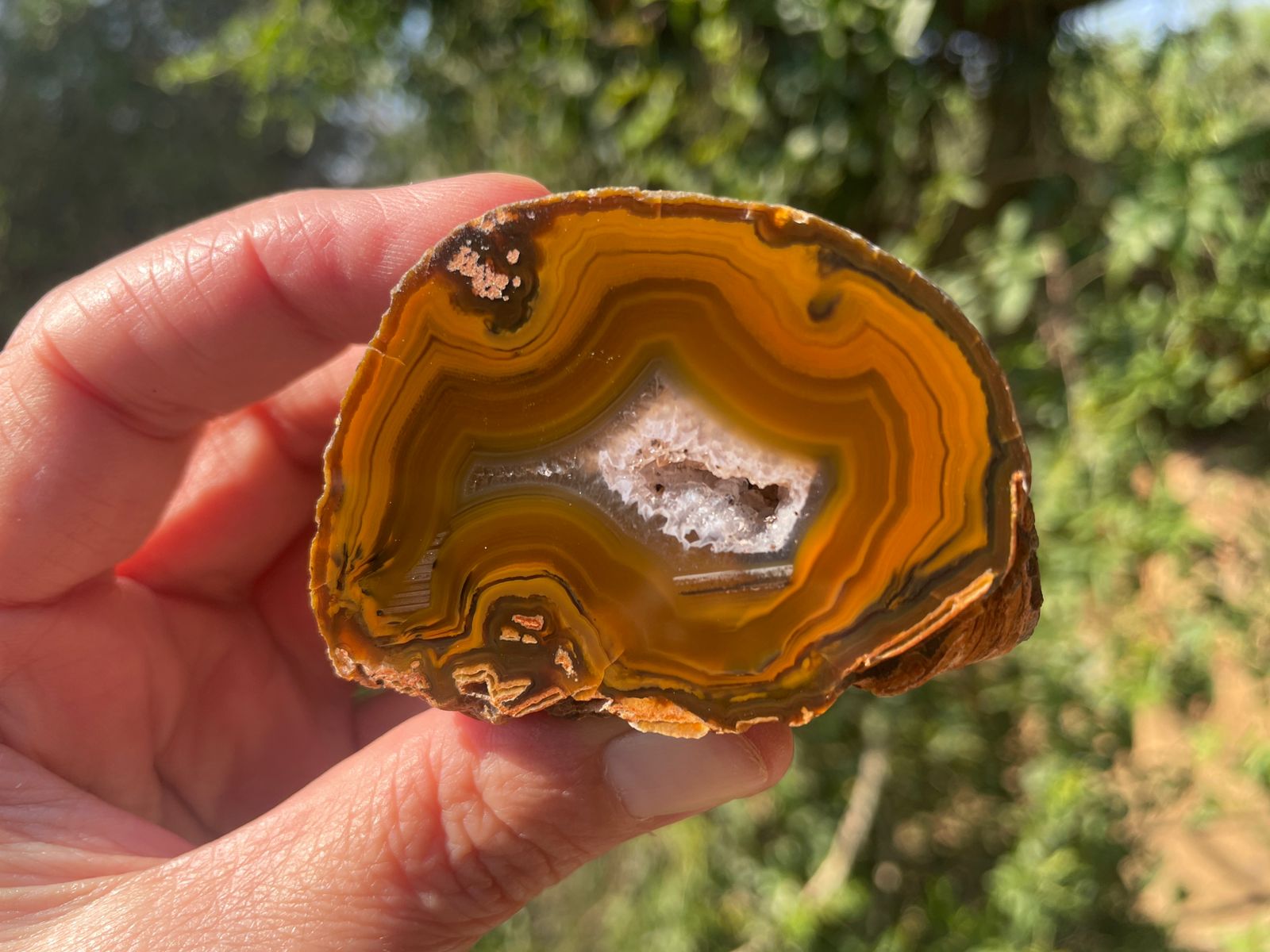 Lilangabi agate 58 mm – in-hand view, druzy vug, multi-chambered structure, waterlines, amber-golden-brown palette, Eswatini | SKU LIL00035