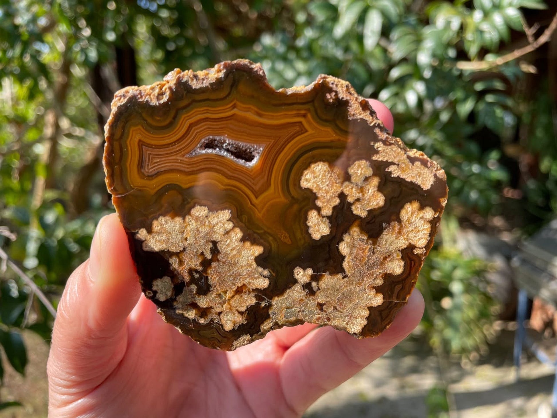 Lilangabi agate 79 mm – in-hand size reference, dendritic inclusions, druzy vug, Eswatini