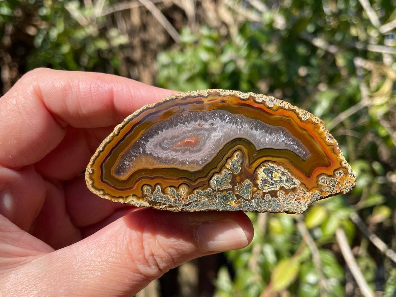 Lilangabi agate 71 mm – in-hand size reference, floater, fortification banding, Eswatini
