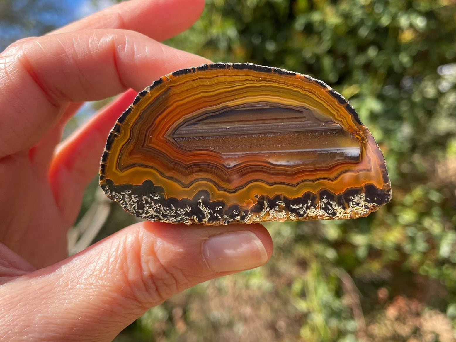 Lilangabi agate 66 mm – in-hand size reference, warm amber palette, waterlines and chromatism visible, Eswatini