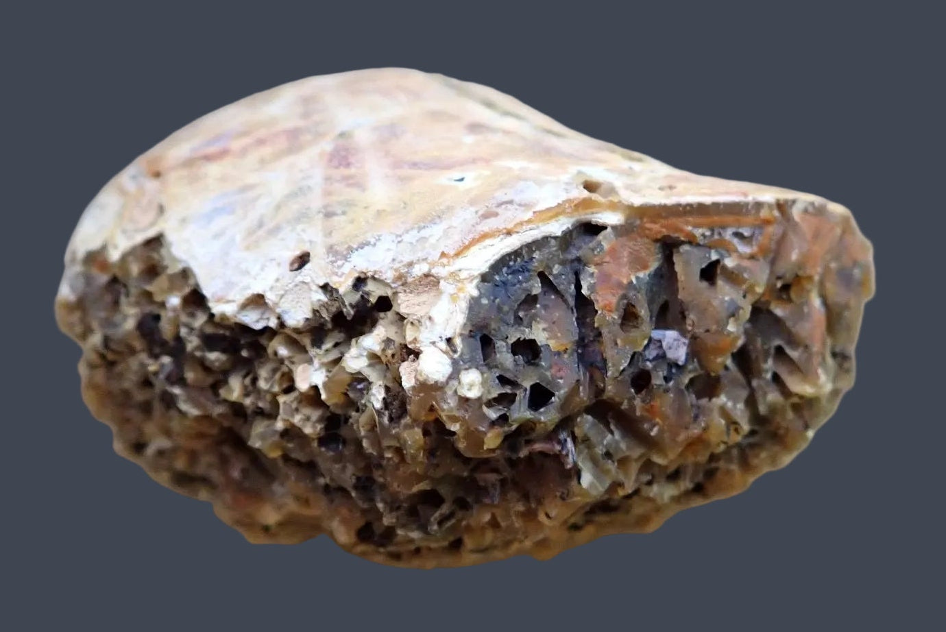 Lilangabi agate 96 mm – back view, natural rind, Eswatini