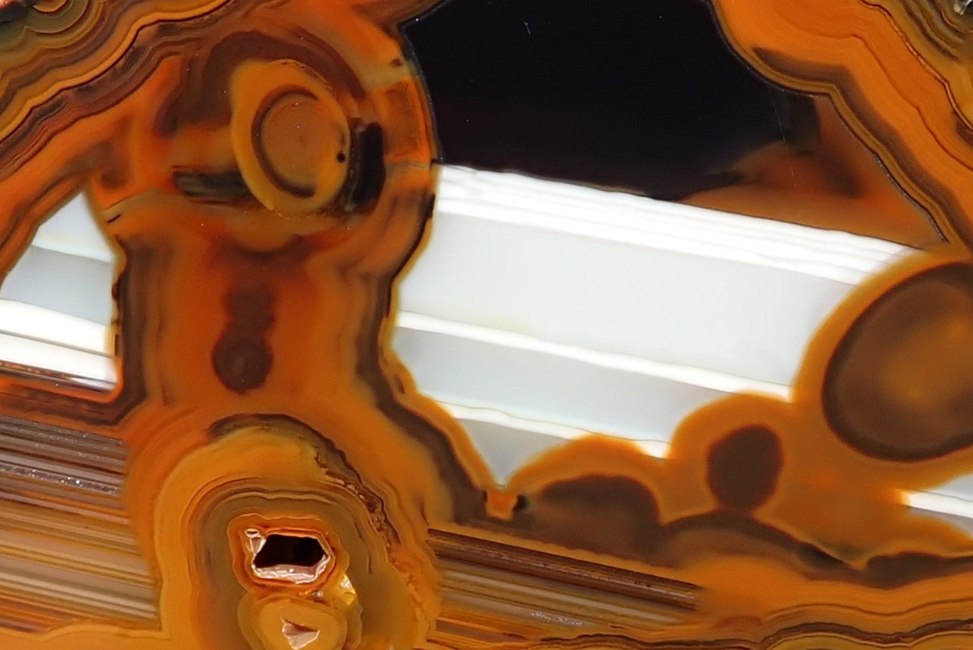 Lilangabi agate 73 mm – face detail, eyes, striking white waterline band behind amber banding, Eswatini