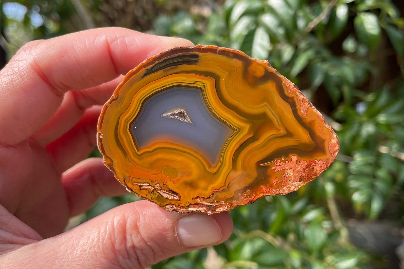 Lilangabi agate 67 mm – in-hand size reference, flow channel, chromatography banding