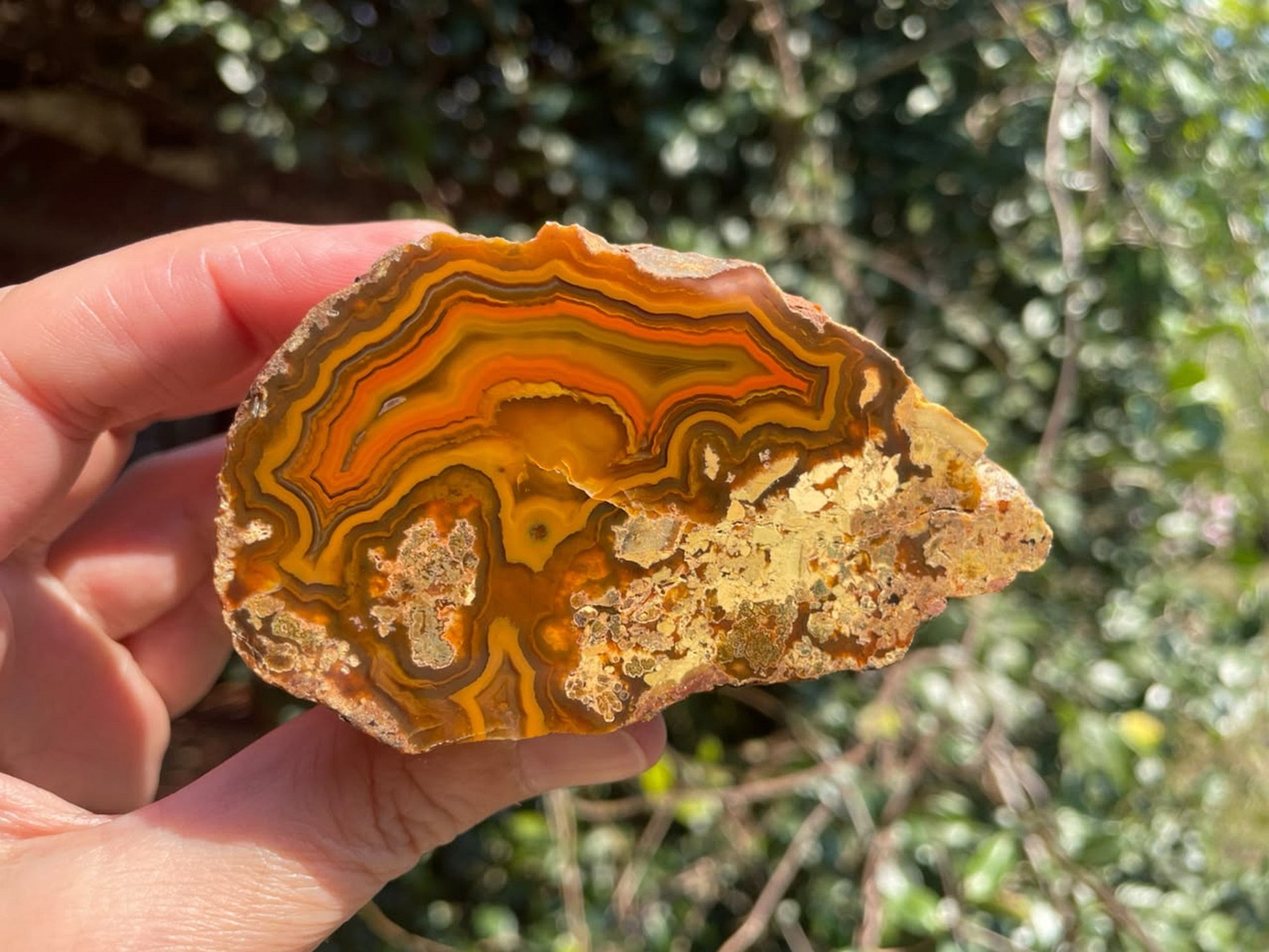 Lilangabi agate 85 mm – in-hand size reference, fortification banding, Eswatini