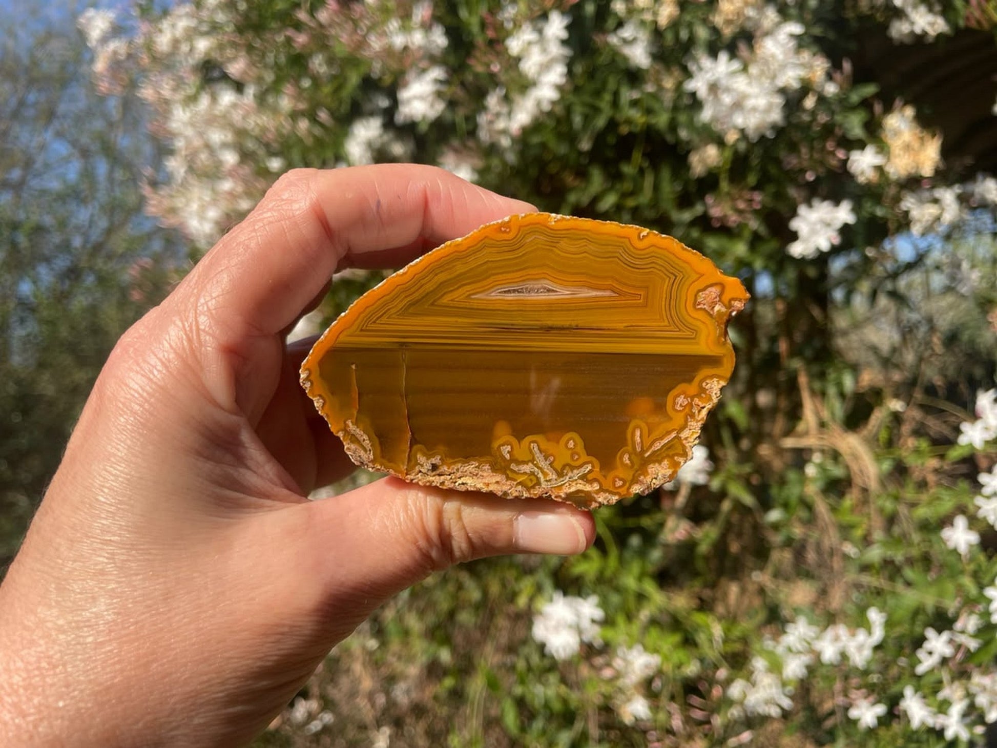Lilangabi agate 87 mm – in-hand size reference, fortification banding and waterlines, Lebombo Mountains