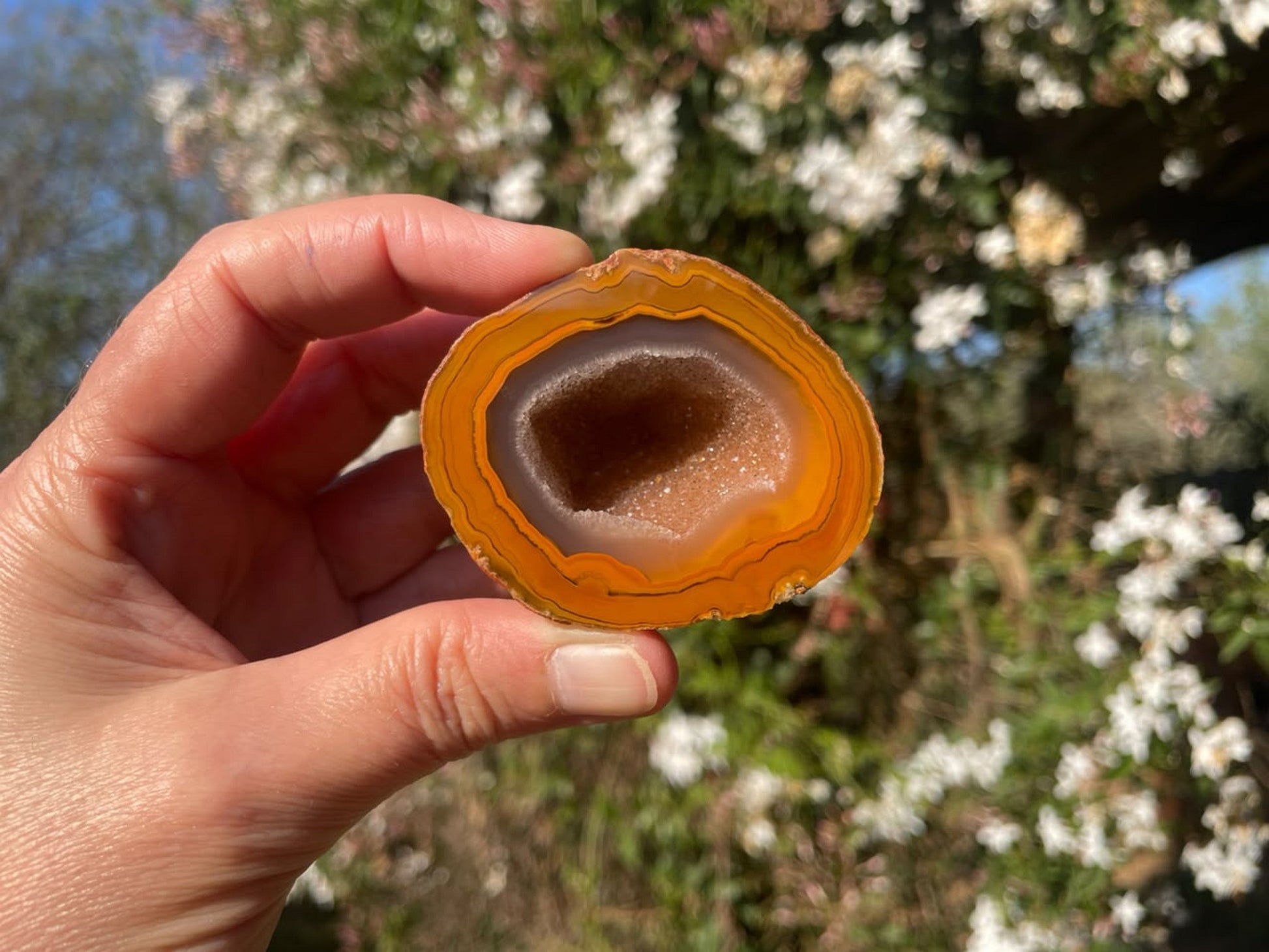 Lilangabi agate 59 mm – in-hand size reference, large drusy vug, Lebombo Mountains