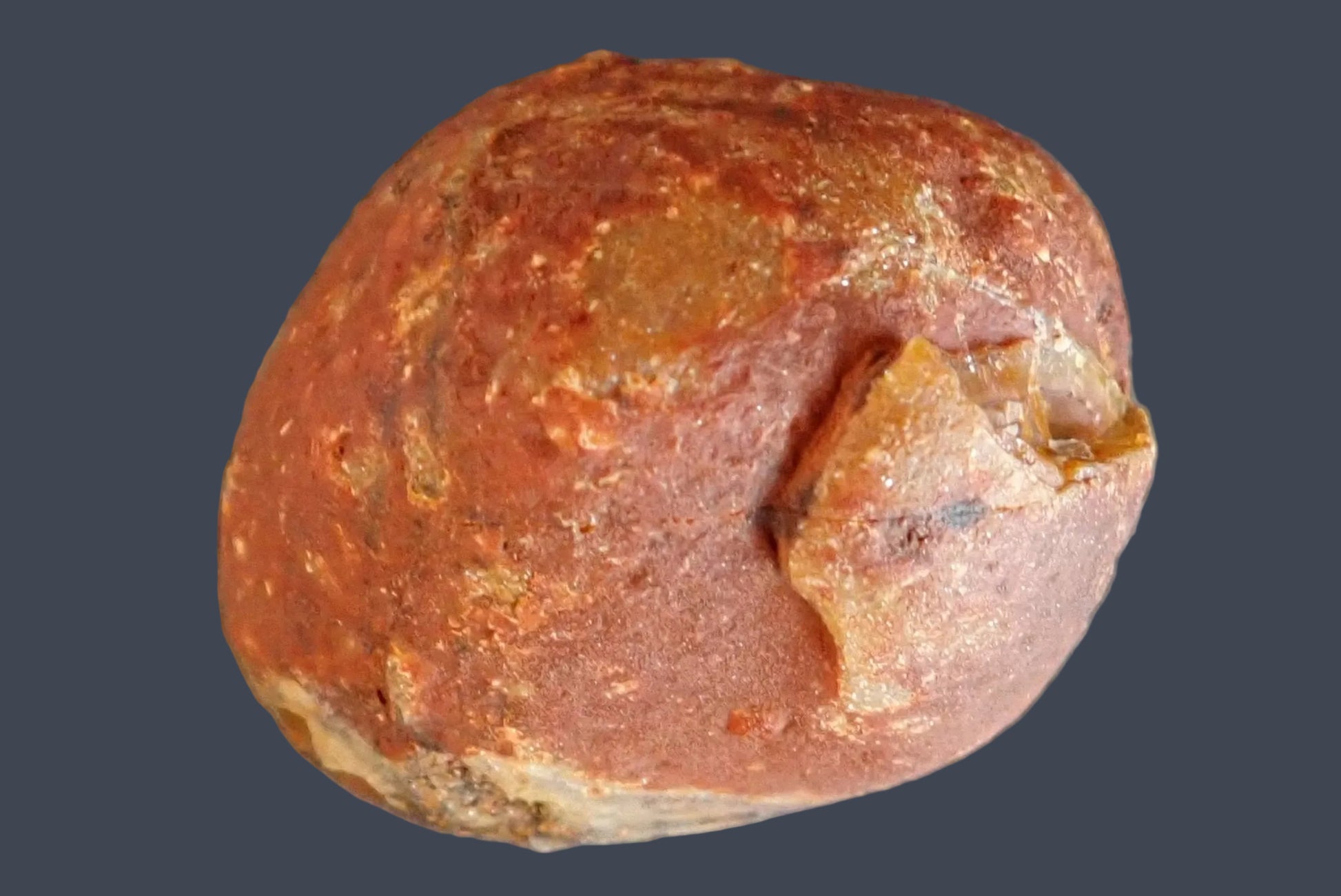 Lilangabi agate 59 mm – back view, natural rind, Lebombo Mountains