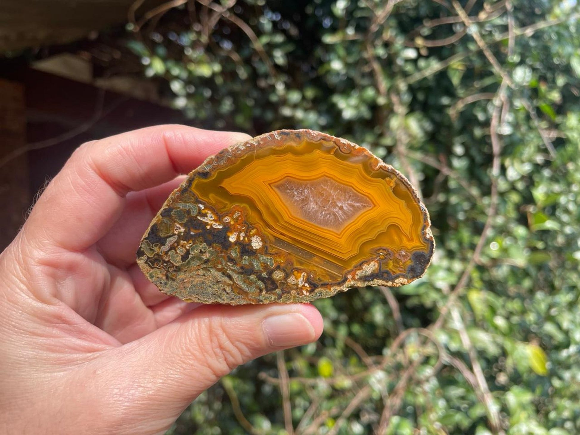 Lilangabi agate 82 mm – full face in hand, rich amber and golden yellow banding, Lebombo Mountains