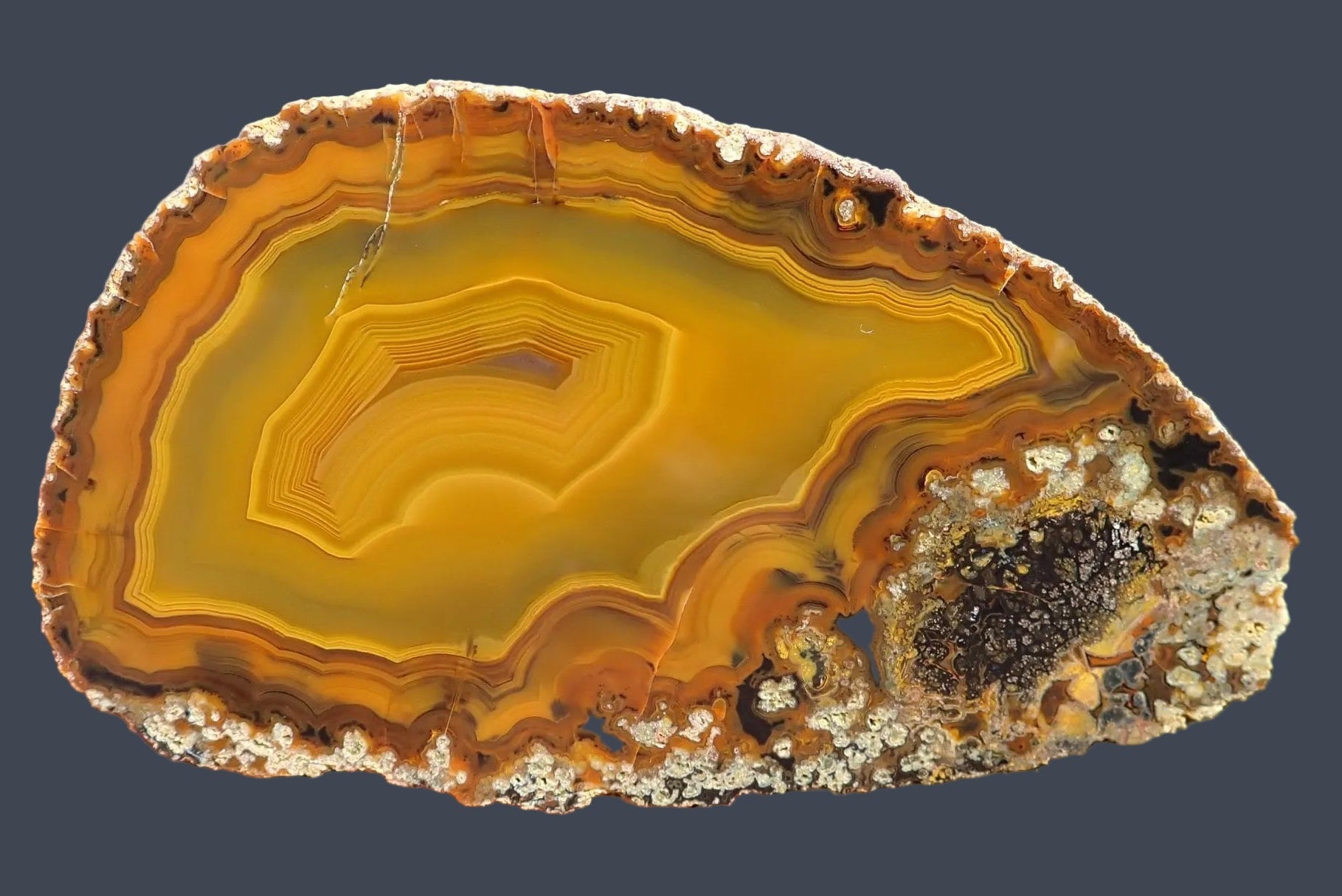 Lilangabi agate 98 mm – front view, parallax, fortification banding, deep amber and burnt orange chevron layers, Lebombo Mountains