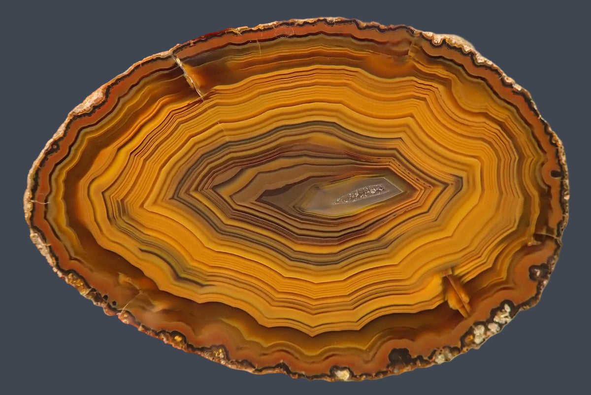 Lilangabi agate 74 mm – face view, dense fortification banding, chromatographic shift from amber to burnt gold, Lebombo Mountains