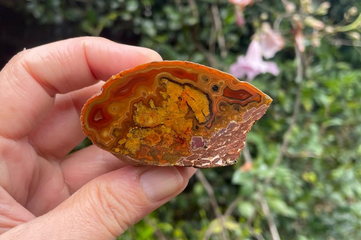 Lilangabi agate in hand showing the specimen’s natural scale and colouring