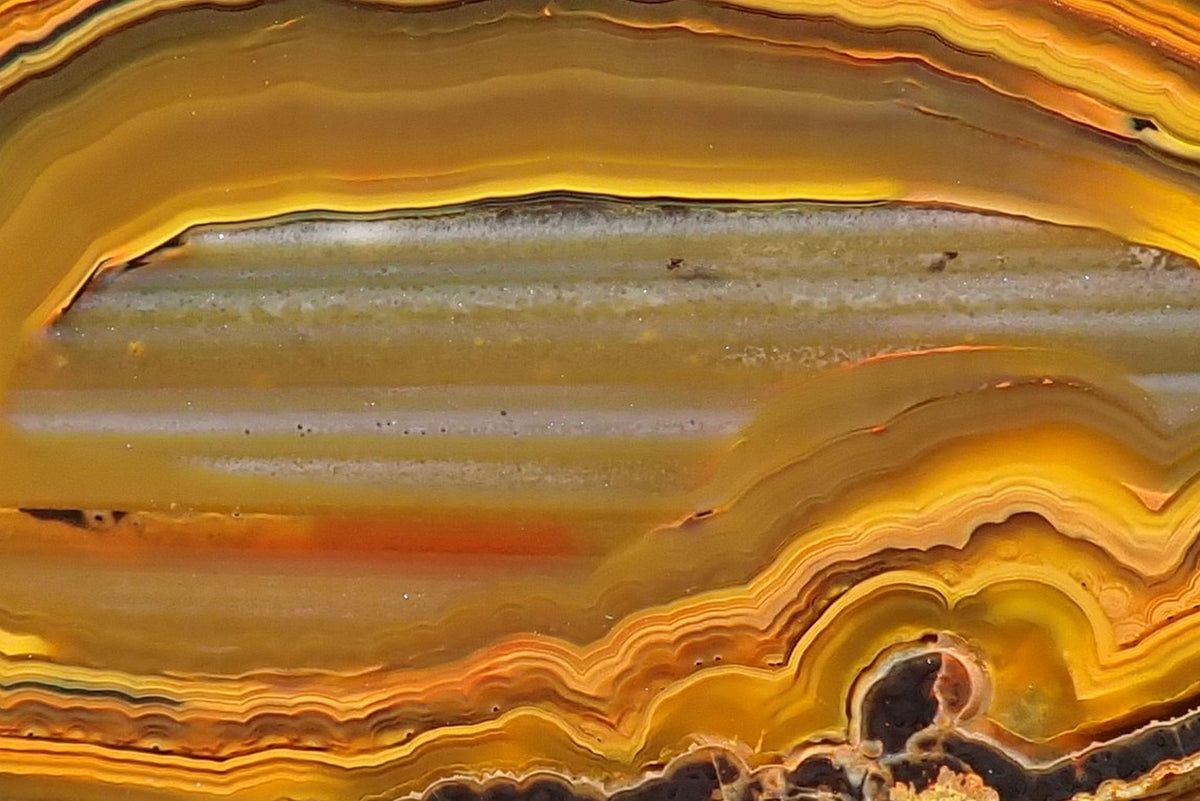 Lilangabi agate 60 mm, detail of grey waterlines, fine dark outlines and tightly layered scalloped fortification banding in golden yellow, orange and amber.