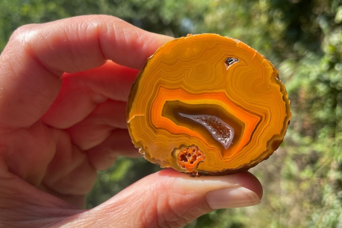 Lilangabi agate 49 mm, held between fingers for scale, showing golden-yellow and orange fortification banding around the central drusy vug.