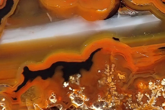 Lilangabi agate 72 mm, detail of scalloped orange-black bands beneath a white-grey waterline, with branching cream and golden moss-like inclusions.
