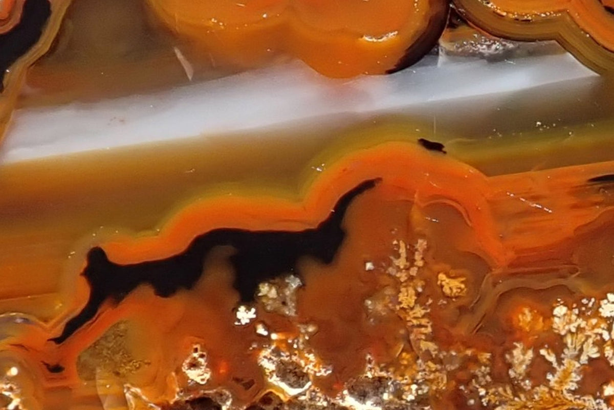Lilangabi agate 72 mm, detail of scalloped orange-black bands beneath a white-grey waterline, with branching cream and golden moss-like inclusions.