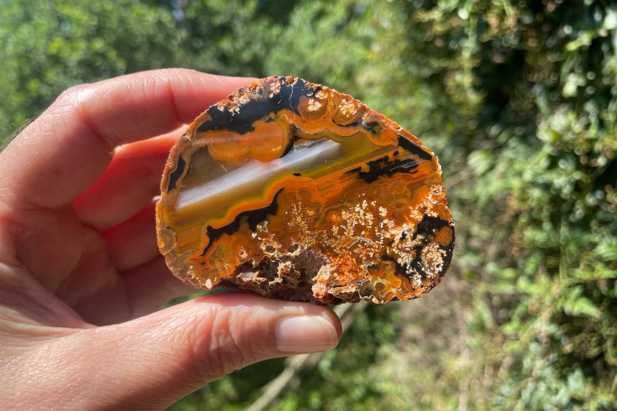 Lilangabi agate 72 mm held between fingers for scale, showing waterlines, scalloped banding and moss-like inclusions in amber, orange, black and cream.