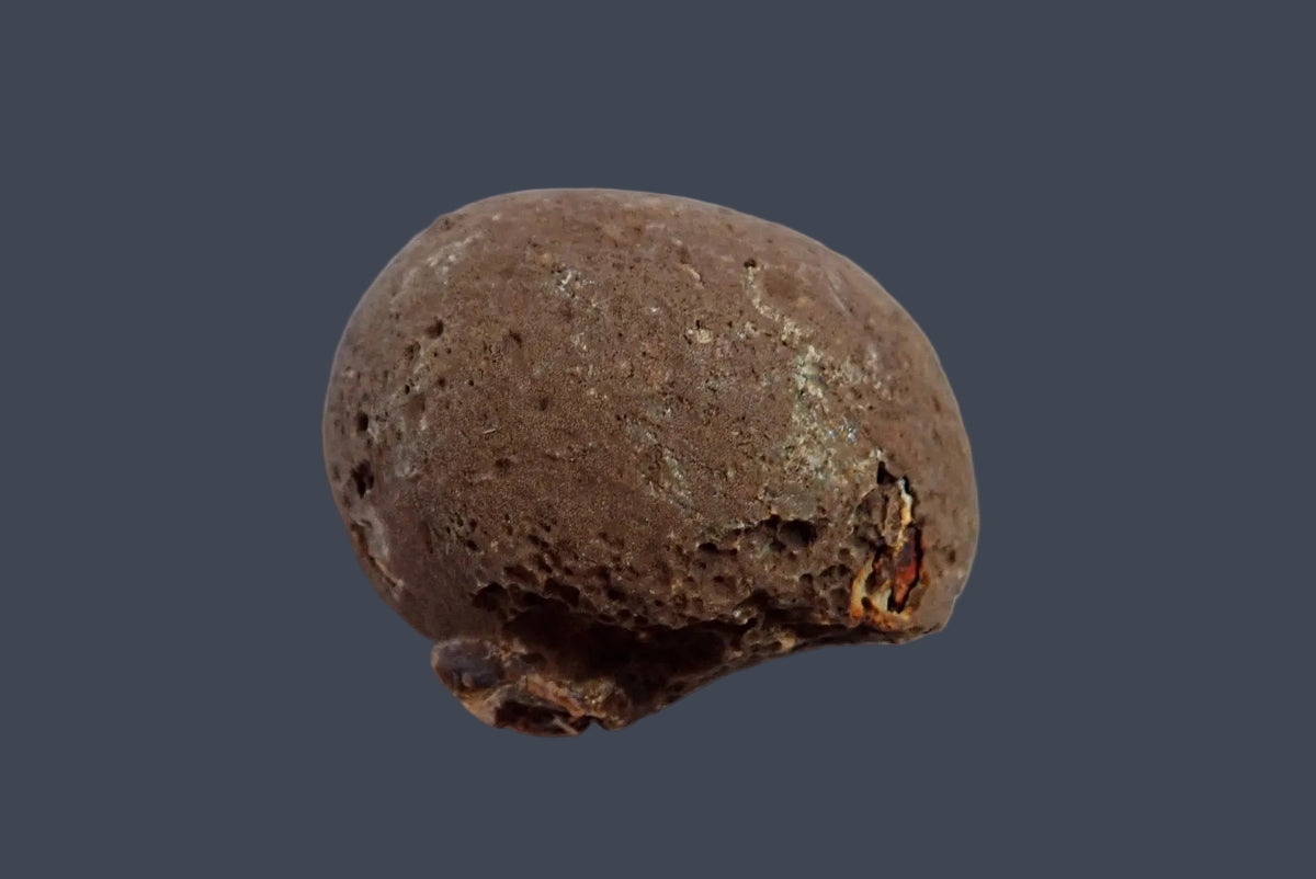 Lilangabi agate 73 mm – back view showing the rounded brown natural rind and rough lower edge, Lebombo Mountains.