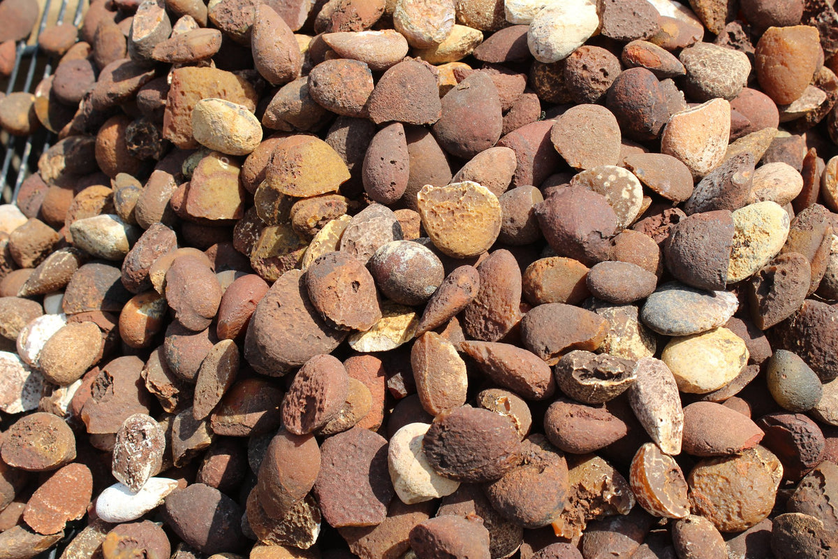 Lilangabi agate poppers, overhead view of a large group of small uncut nodules in earthy brown, ochre, reddish brown and cream, from the Lebombo Mountains.