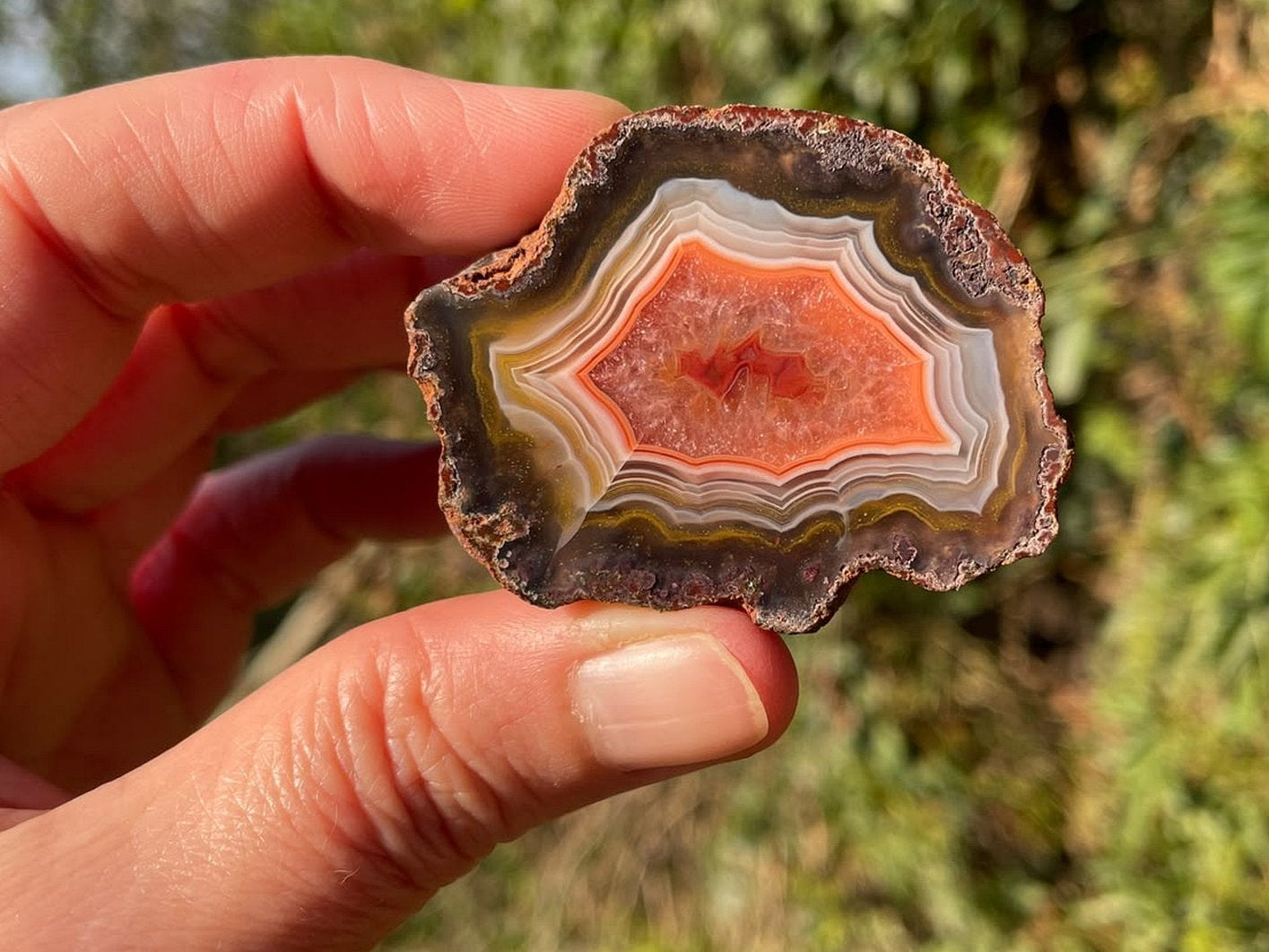 Malawi agate 50 mm – in-hand size reference, parallax, floater, scalloped banding, Ngabu, Malawi