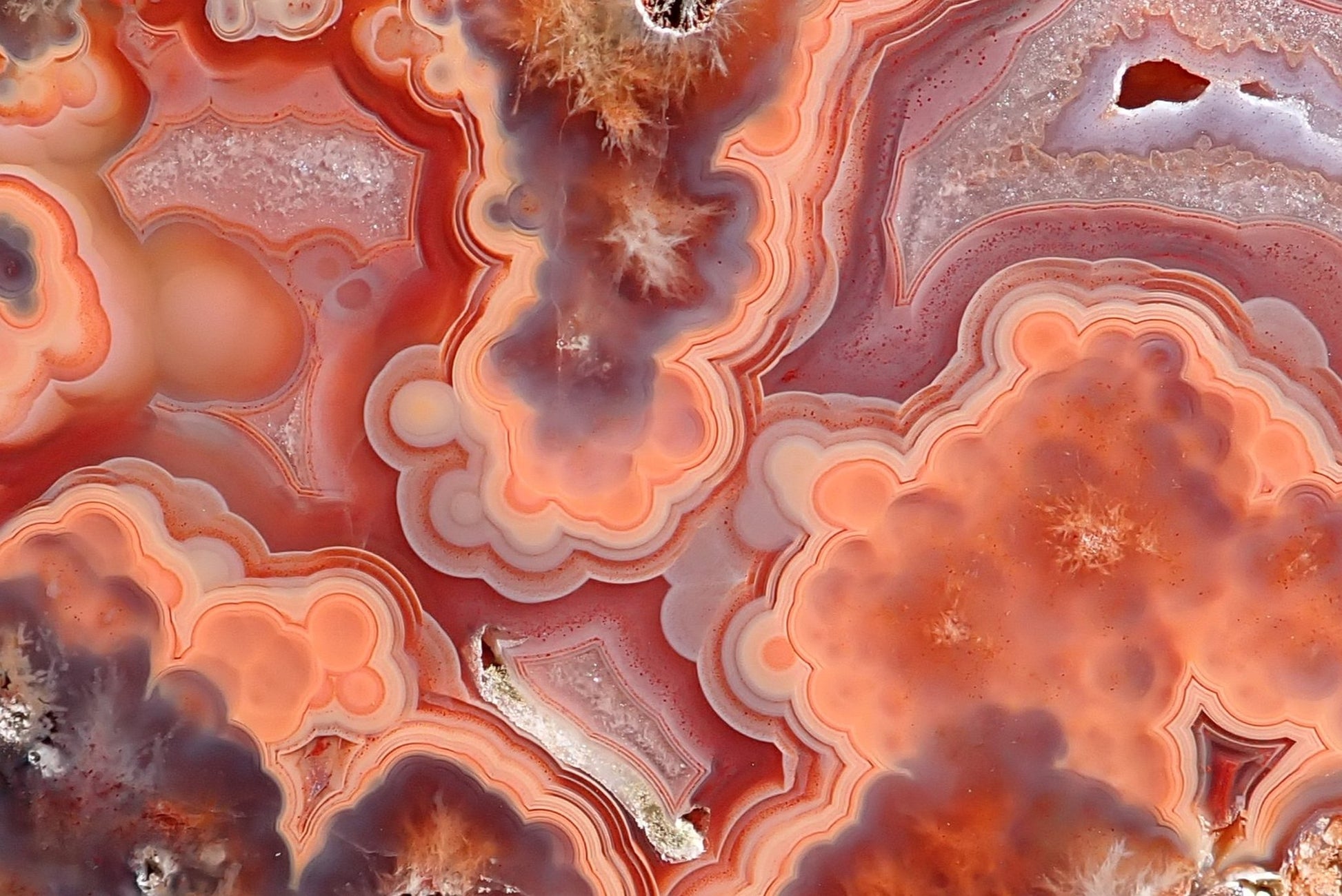 Malawi agate 96 mm – face detail, plume formations, pseudomorphs and scalloped banding, deep burgundy and cream-white contrast