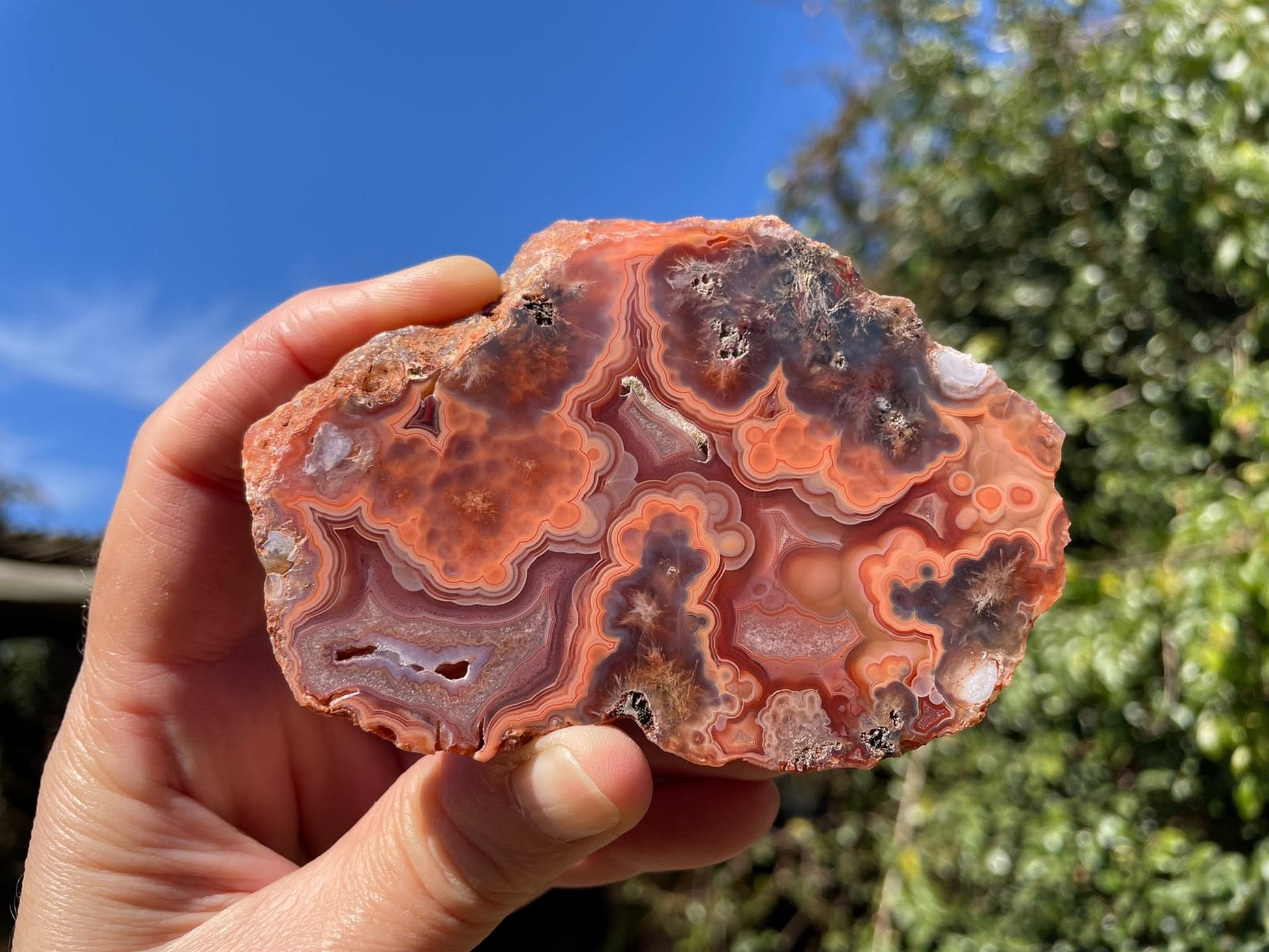 Malawi agate 96 mm – in-hand size reference, substantial specimen, multi-chambered fortification banding, Ngabu, Malawi