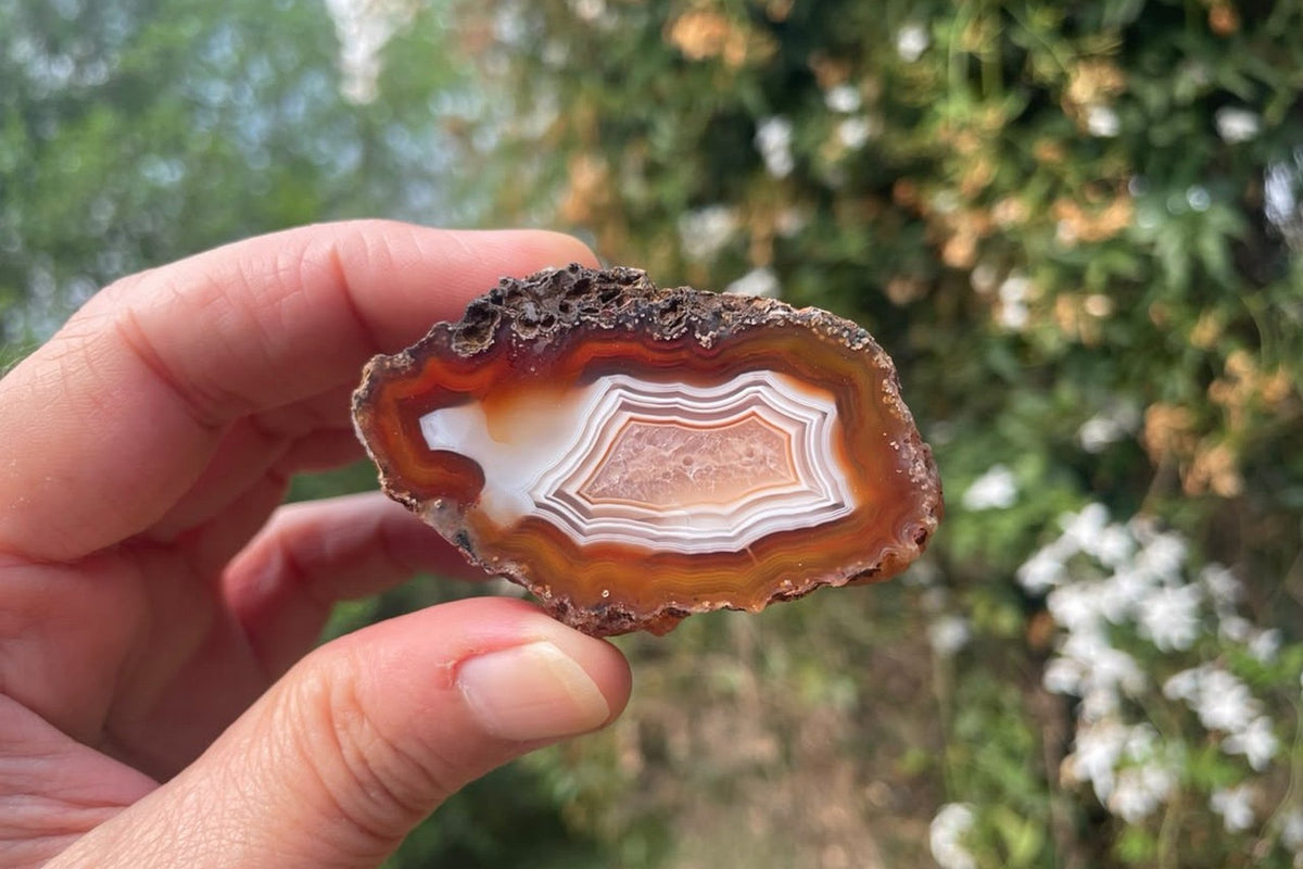 Malawi agate 57 mm – specimen held in hand for size reference, red, orange, white and cream banding