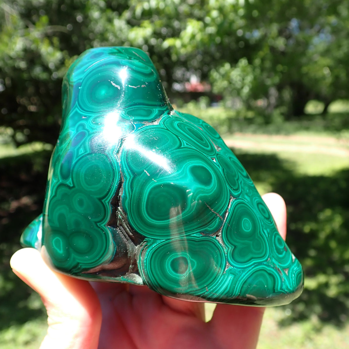 Malachite polished freeform showing overlapping green rings and exposed host rock between rounded sections