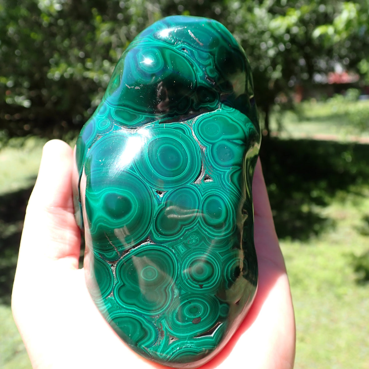 Malachite freeform underside showing exposed brown-grey host rock bordered by polished green bands